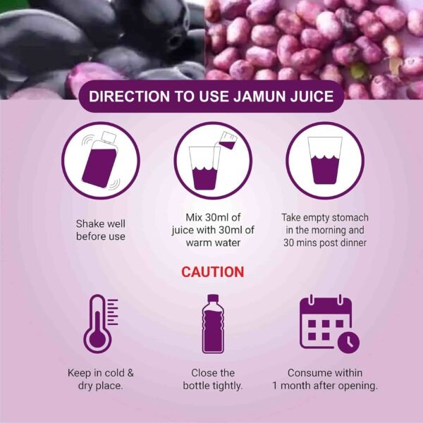Srishma Jamun Juice | Pack of 2 | |2 x500 ml| - Image 5