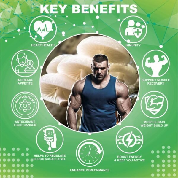 Srishma Ayurvedic Mushroom Powder Infused with 16 Potent Herbs - Weight Gainer (200 g) - Image 4