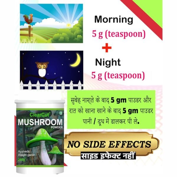 Srishma Ayurvedic Mushroom Powder Infused with 16 Potent Herbs - Weight Gainer (200 g) - Image 5