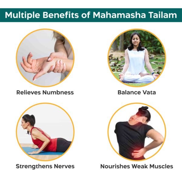 Srishma Ayurvedic Mahamasha Thailam| Pack-2| 2×100 ml | - Image 2