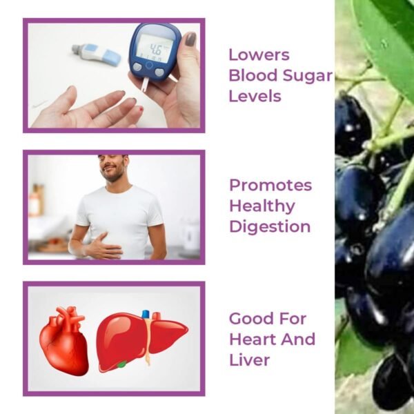 Srishma Jamun and Shilajit Powder is a powerful Ayurvedic blend of 15 potent herbs that support blood sugar control, energy boost, and detoxification. Formulated with Jamun, Shilajit, Gudmar, Vijaysar, Giloy, and more, this 100% natural supplement enhances metabolism, strengthens immunity, and promotes overall wellness. AYUSH certified & chemical-free.